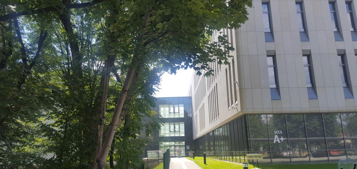 Budynek A+, widok na wejście do budynku w otoczeniu zieleni