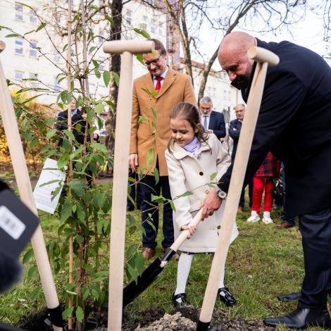 40 lat po przeszczepieniu serca – dziedzictwo prof. Zbigniewa Religi - GALERIA ZDJĘĆ - Zdjęcie galerii 1