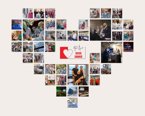 Rok jubileuszowy SCCS w liczbach - Zdjęcie główne Rok jubileuszowy SCCS w liczbach - Zdjęcie główne