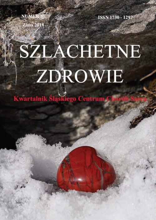 NUMER 31, zima 2018 - Zdjęcie główne